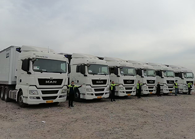 �Ϻ���������