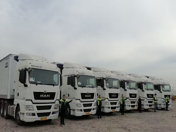 �Ϻ���������