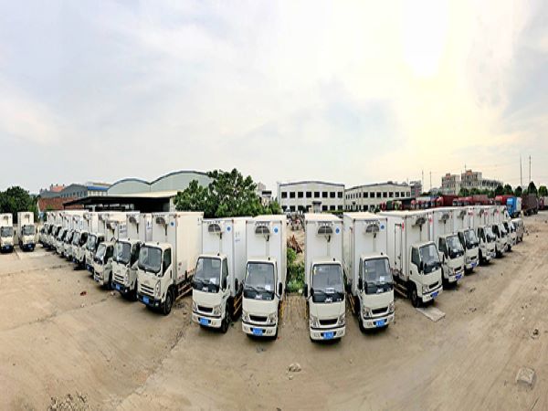 上海冷链物流 上海冷链物流