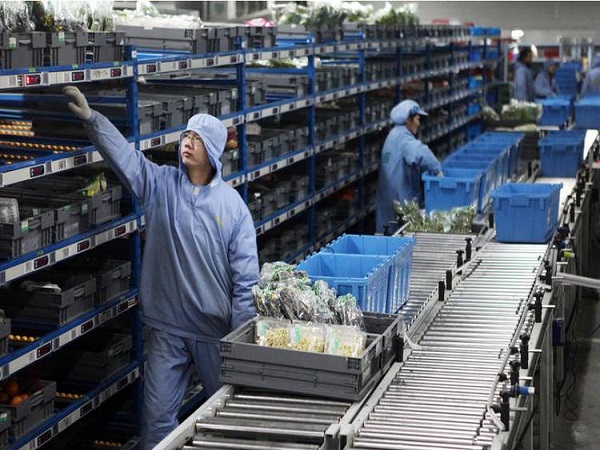 �Ϻ������ݲִ���������