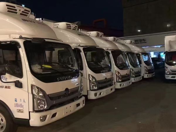 �Ϻ���������