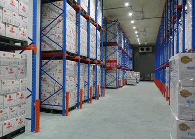 �Ϻ������ݲִ���������