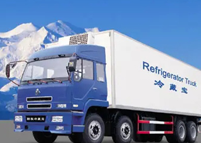 �Ϻ���������