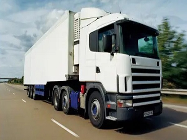 �Ϻ���������