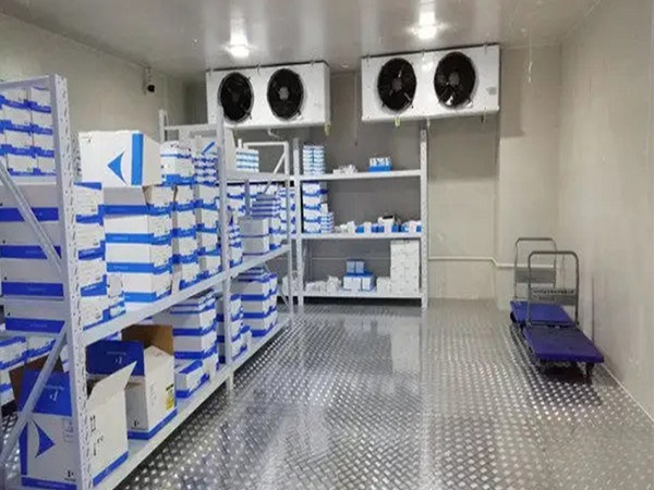 ���ݵ��Ϻ���������