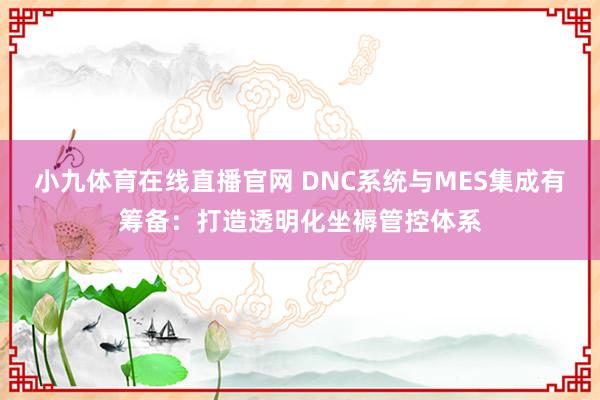 小九体育在线直播官网 DNC系统与MES集成有筹备：打造透明化坐褥管控体系