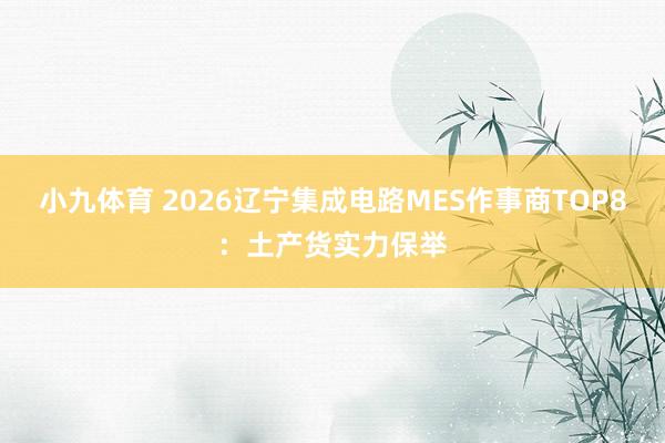 小九体育 2026辽宁集成电路MES作事商TOP8：土产货实力保举