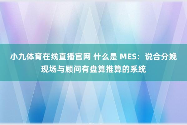 小九体育在线直播官网 什么是 MES：说合分娩现场与顾问有盘算推算的系统