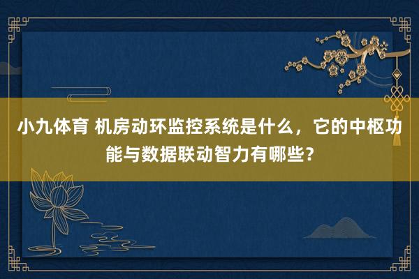 小九体育 机房动环监控系统是什么，它的中枢功能与数据联动智力有哪些？