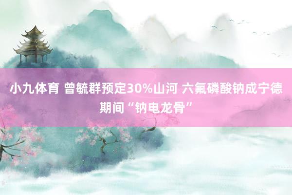 小九体育 曾毓群预定30%山河 六氟磷酸钠成宁德期间“钠电龙骨”