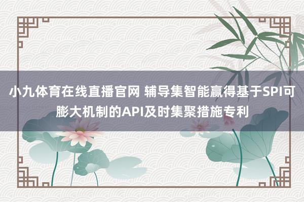 小九体育在线直播官网 辅导集智能赢得基于SPI可膨大机制的API及时集聚措施专利