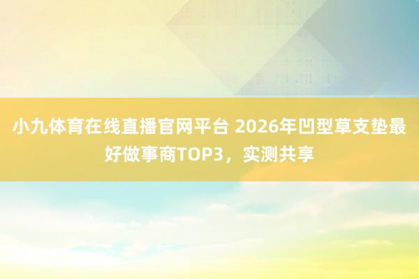 小九体育在线直播官网平台 2026年凹型草支垫最好做事商TOP3，实测共享