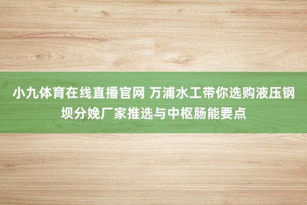 小九体育在线直播官网 万浦水工带你选购液压钢坝分娩厂家推选与中枢肠能要点