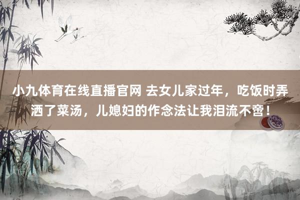 小九体育在线直播官网 去女儿家过年，吃饭时弄洒了菜汤，儿媳妇的作念法让我泪流不啻！