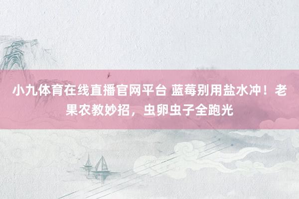 小九体育在线直播官网平台 蓝莓别用盐水冲！老果农教妙招，虫卵虫子全跑光