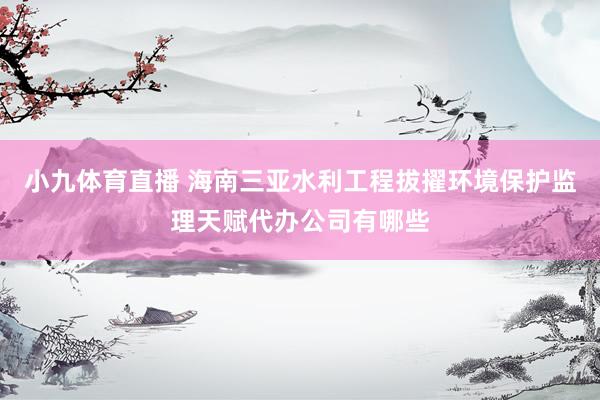小九体育直播 海南三亚水利工程拔擢环境保护监理天赋代办公司有哪些
