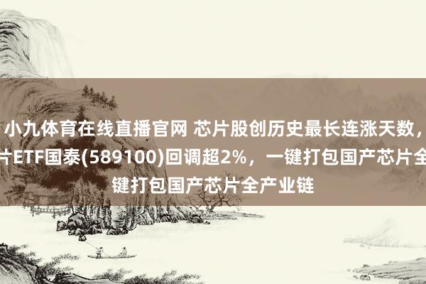 小九体育在线直播官网 芯片股创历史最长连涨天数，科创芯片ETF国泰(589100)回调超2%，一键打包国产芯片全产业链