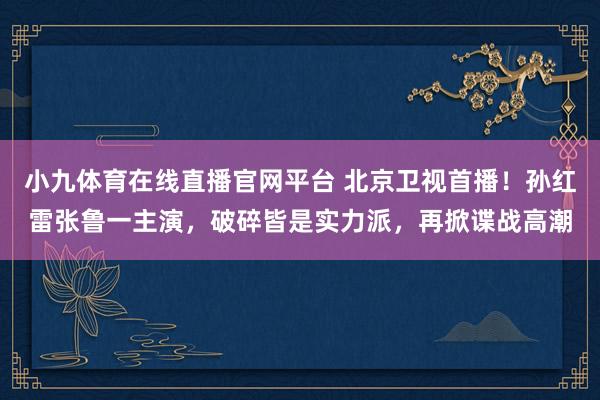 小九体育在线直播官网平台 北京卫视首播！孙红雷张鲁一主演，破碎皆是实力派，再掀谍战高潮