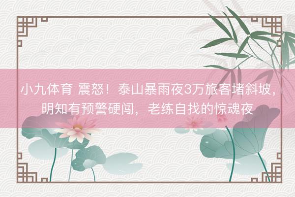 小九体育 震怒！泰山暴雨夜3万旅客堵斜坡，明知有预警硬闯，老练自找的惊魂夜