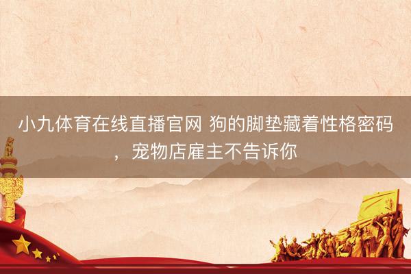 小九体育在线直播官网 狗的脚垫藏着性格密码，宠物店雇主不告诉你