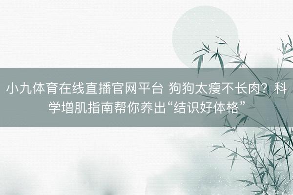 小九体育在线直播官网平台 狗狗太瘦不长肉？科学增肌指南帮你养出“结识好体格”
