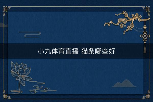 小九体育直播 猫条哪些好